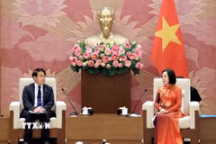 Phó Chủ tịch Quốc hội Nguyễn Thị Thanh tiếp Ngài Saito Hiroaki, Chủ nhiệm Ủy ban Giáo dục, Văn hóa, Thể thao, Khoa học và Công nghệ của Hạ viện Nhật Bản. (Ảnh: Tuấn Anh/TTXVN)