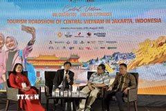 Các diễn giả cung cấp nhiều thông tin cho doanh nghiệp du lịch Indonesia và Việt Nam. (Ảnh: Đỗ Quyên/TTXVN)