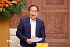 Phó Thủ tướng Lê Tiến Châu phát biểu. (Ảnh: Lâm Khánh/TTXVN)