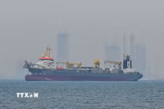 Tàu chở hàng thả neo ngoài khơi bờ biển Các tiểu vương quốc Arab Thống nhất (UAE) do tuyến đường hàng hải bị gián đoạn ở eo biển Hormuz khi xung đột bùng phát giữa Mỹ-Israel và Iran. (Ảnh: Anadolu Agency/TTXVN)