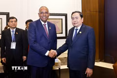 Chủ tịch Quốc hội Trần Thanh Mẫn hội kiến Chủ tịch Quốc hội Cộng hòa Côte d'Ivoire Patrick Achi. (Ảnh: Doãn Tấn/TTXVN)