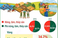 Cơ cấu lao động nông thôn ngày càng tiệm cận khu vực phi nông nghiệp