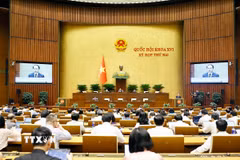 Bộ trưởng Bộ Tư pháp Hoàng Thanh Tùng, thừa ủy quyền của Thủ tướng Chính phủ trình bày tờ trình về 3 dự án: Luật Đấu giá tài sản (sửa đổi); Luật Luật sư (sửa đổi); Luật Nuôi con nuôi (sửa đổi). (Ảnh: Doãn Tấn/TTXVN)
