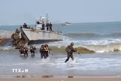 Các lực lượng Mỹ và Ấn Độ tham gia cuộc tập trận “Tiger Triumph 2025”. (Ảnh: ANI/TTXVN)