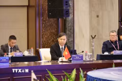 Thứ trưởng Bộ Khoa học và Công nghệ Hoàng Minh phát biểu tham luận tại hội nghị. (Ảnh: Công Tuyên/TTXVN)