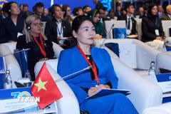 Đoàn Kiểm toán Nhà nước Việt Nam tham gia Hội thảo quốc tế. (Ảnh: TTXVN phát)