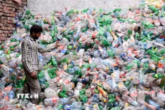 Công nhân làm việc tại nhà máy xử lý rác thải nhựa ở Lahore, Pakistan. (Ảnh: THX/TTXVN)