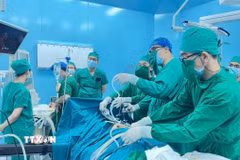 (Ảnh minh hoạ: TTXVN phát)