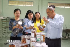 Thành phố Cần Thơ hiện có 903 sản phẩm OCOP từ 3 đến 5 sao. (Ảnh: Thu Hiền/TTXVN)