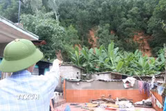 Lãnh đạo xã Nam An Phụ, thành phố Hải Phòng kiểm tra diễn biến các điểm sạt lở trên địa bàn ngày 24/8. (Ảnh: Mạnh Minh/TTXVN)