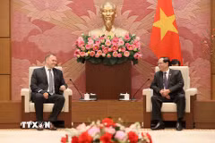 Phó Chủ tịch Quốc hội Trần Quang Phương tiếp Chủ nhiệm Ủy ban An ninh quốc gia Quốc hội Hungary Sas Zoltán. (Ảnh: An Đăng/TTXVN)