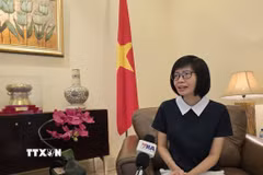 Đại sứ Tôn Thị Ngọc Hương, Trưởng Phái đoàn đại diện thường trực Việt Nam tại ASEAN. (Ảnh: Lê Minh Hưởng/TTXVN)