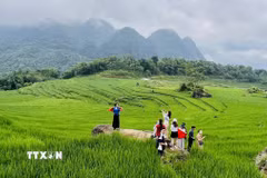Khu du lịch cộng đồng Pù Luông (Thanh Hóa) thu hút khách du lịch trong nước và quốc tế. (Ảnh: Hoa Mai/TTXVN)