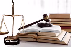 Chính phủ giao Bộ Tư pháp chủ trì, phối hợp với các bộ, cơ quan liên quan tiếp tục rà soát, đánh giá kỹ tác động của chính sách để bảo đảm tính khả thi, thống nhất, đồng bộ của hệ thống pháp luật và hoàn thiện nội dung của các chính sách. (Nguồn: Vietnam+)
