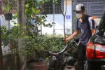 Phun hóa chất diệt muỗi tại một ổ dịch. (Ảnh minh họa: Minh Thu/TTXVN)