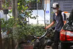 Phun hóa chất diệt muỗi tại một ổ dịch trên địa bàn quận Hải An, thành phố Hải Phòng. (Ảnh: Minh Thu/TTXVN)