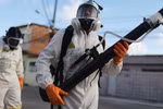 Phun thuốc diệt muỗi để ngăn ngừa virus Zika. (Nguồn: Getty Images) 