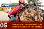 Bộ Ngoại giao lên tiếng về đề xuất Hà Nội nói không với thịt chó, mèo