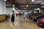 Nước ngập tại hầm chung cư HH3.1 FLC Đại Mỗ, Hà Nội. (Ảnh người dân cung cấp)