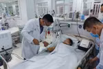 Tập trung nguồn lực cứu bệnh nhân ngộ độc do ăn cá chép muối ủ chua