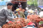 "Điệp khúc buồn" ngành nông sản: Tiếp theo là vải thiều và thanh long?