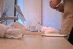 Ảnh cắt từ đoạn clip. (Nguồn: Weibo) 