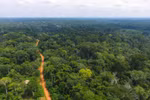 Ảnh minh họa. (Nguồn: unenvironment.org) 