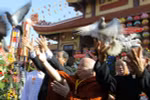 Khai mạc tuần lễ văn hóa chào mừng Vesak năm 2014