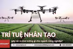 8+ phút Điểm nóng: Trí tuệ nhân tạo gây rủi ro khó lường cho ngành nông nghiệp?