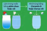 [Infographics] Quy trình chung xử lý nước ăn uống trong mùa mưa lũ