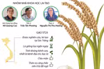 [Infographics] Vinh danh tác giả của gạo ST25 ngon nhất thế giới