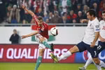 Tamas Priskin ghi bàn đưa Hungary đến Pháp dự EURO 2016. (Nguồn: Reuters)