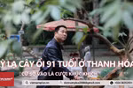(Ảnh: Minh Sơn/Vietnam+)