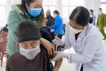 Tiêm vaccine phòng COVID-19 cho người già tại Móng Cái, Quảng Ninh (Ảnh: TTXVN phát)