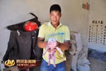 Khuôn mặt của chú lợn trên bị biến dạng khi có tới ba mắt, hai mũi và hai miệng. (Nguồn: CCTV)