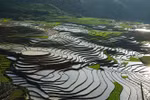 Ruộng bậc thang Sa Pa mùa nước đổ thu hút nhiều du khách tới tham quan. (Ảnh: Quốc Khánh/TTXVN)