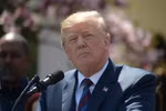 Tổng thống Mỹ Donald Trump. (Nguồn: THX/TTXVN)