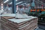 Ảnh chỉ mang tính minh họa. (Nguồn: TTXVN)