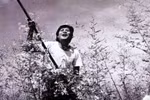 Một cảnh trong phim 'Cánh đồng hoang.'