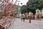 Một gia đình xuất hành đầu năm và du Xuân trong ngày mùng 1 Tết. (Ảnh: Nhật Anh/TTXVN)