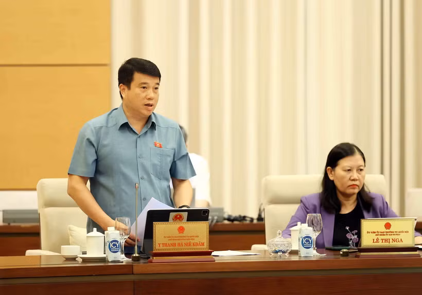 Chủ tịch Hội đồng Dân tộc của Quốc hội Y Thanh Hà Niê KĐăm phát biểu. (Ảnh: An Đăng/TTXVN)