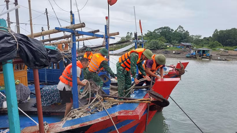 Chính quyền xã Vĩnh Trung (TP Móng Cái) phối hợp với Đồn Biên phòng cửa khẩu cảng Vạn Gia cùng nhân dân cố định, neo đậu tàu, thuyền tránh bão số 2. (Ảnh: TTXVN phát)