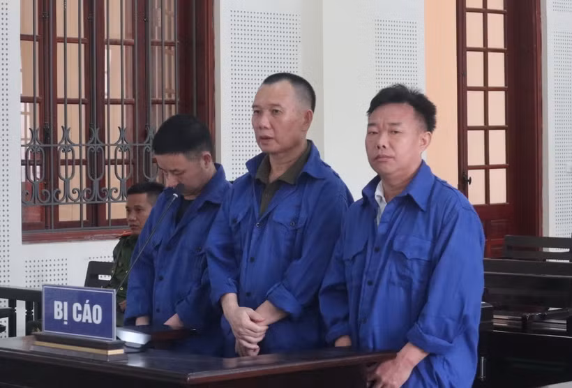 Các đối tượng Thò Bá Dũng (sinh năm 1982), Vừ Bá Cờ (sinh năm 1986), cùng trú xã Tri Lễ, huyện Quế Phong và Lô Văn Thắng (sinh năm 1968, trú xã Cắm Muộn, huyện Quế Phong, tỉnh Nghệ An) tại phiên tòa. (Ảnh: Văn Tý/TTXVN)