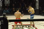 Đội tuyển MMA Việt Nam tham dự SEA Games 33 với 6 võ sỹ 