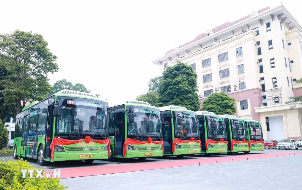 ttxvn-xe-bus1.jpg