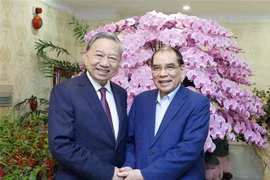 Tổng Bí thư Tô Lâm tới thăm hỏi, chúc Tết nguyên Tổng Bí thư Nông Đức Mạnh. (Ảnh: Thống Nhất/TTXVN)