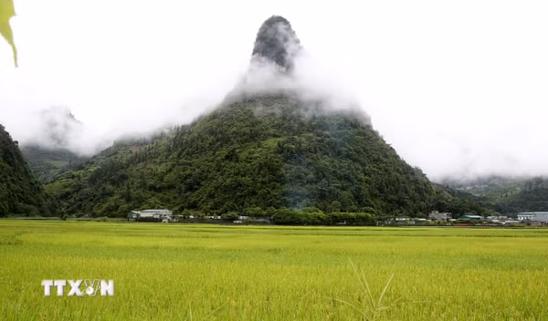 Lào Cai: Lần đầu tổ chức Lễ hội 'Mường Khương-Sắc màu biên cương'