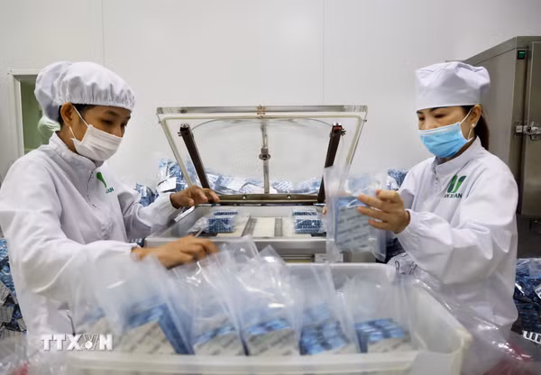 Công nghiệp hóa dược: Phấn đấu đáp ứng 20% nhu cầu nguyên liệu làm thuốc