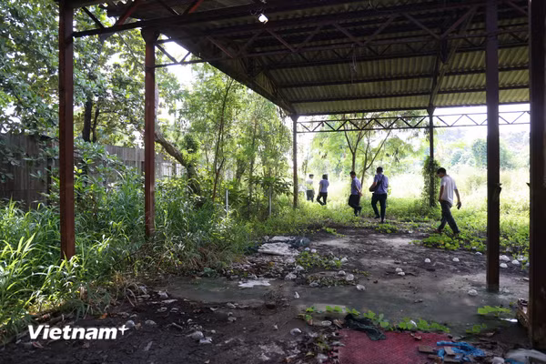 TP Hồ Chí Minh thu hồi trên 2.800m2 đất công qua vụ án dân sự công ích đầu tiên
