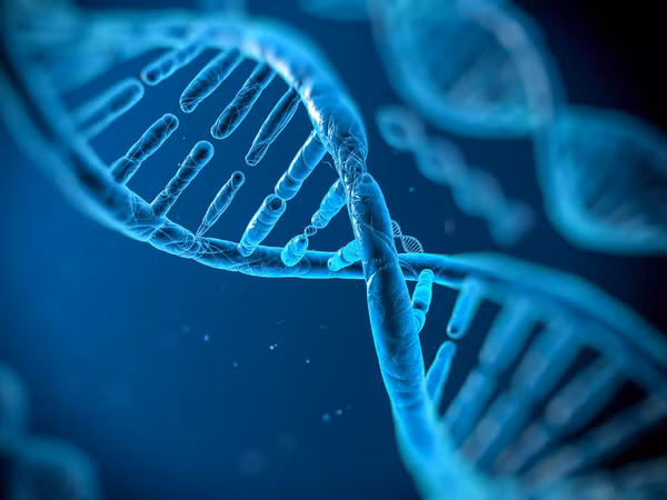 Đức lần đầu điều trị thành công cho bệnh nhân bằng thuốc chỉnh sửa gene